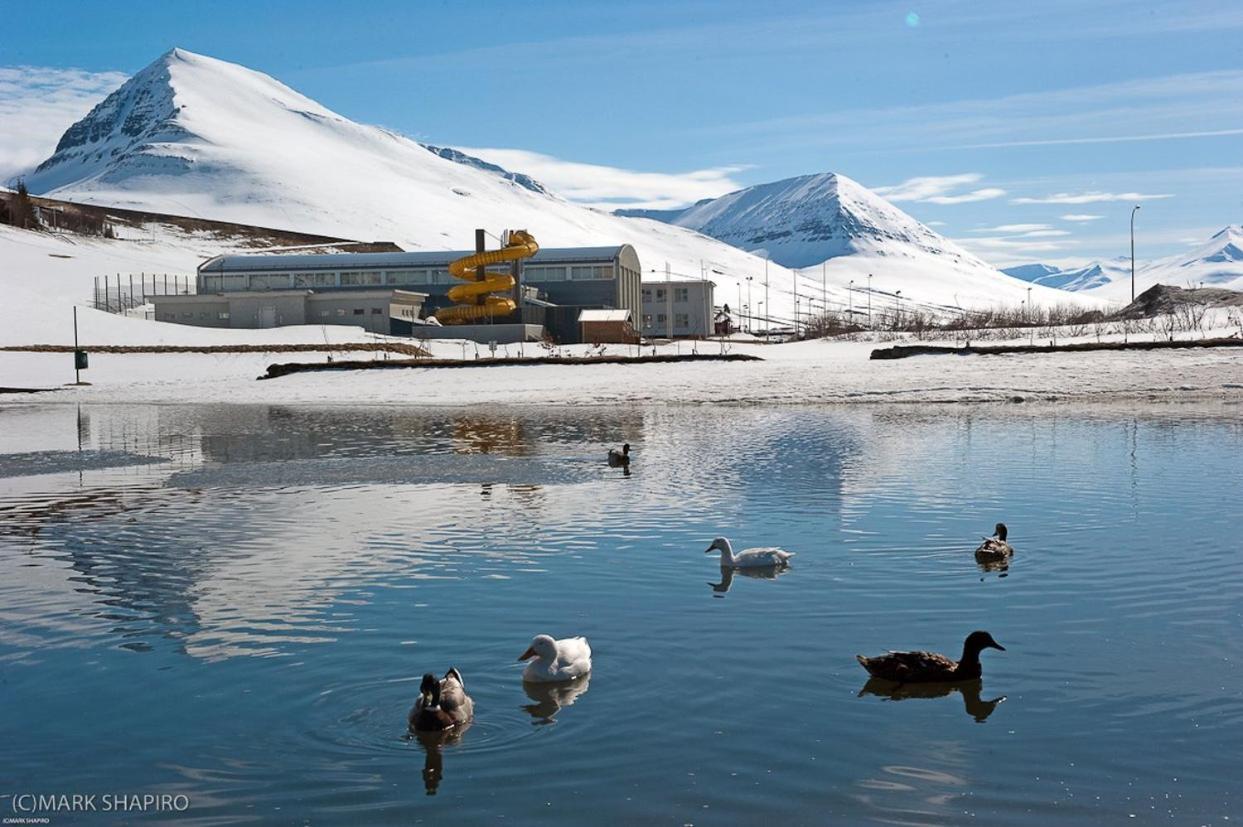 The Northern Comfort Inn Olafsfjordur Экстерьер фото